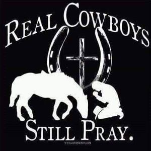 Meet your Posher, Steve